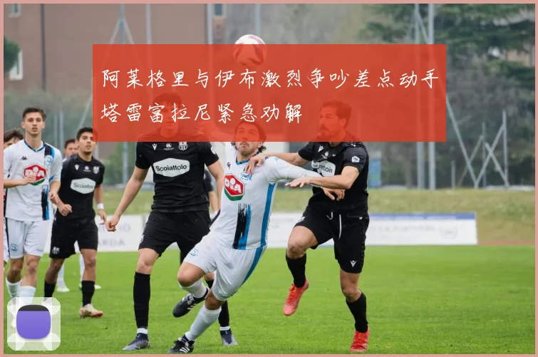 阿莱格里与伊布激烈争吵差点动手塔雷富拉尼紧急劝解