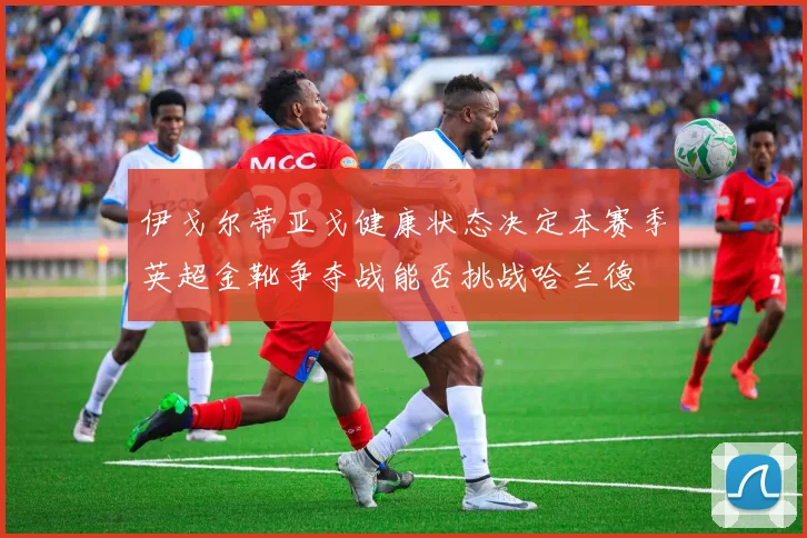 伊戈尔蒂亚戈健康状态决定本赛季英超金靴争夺战能否挑战哈兰德