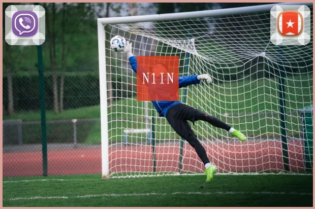 N1IN